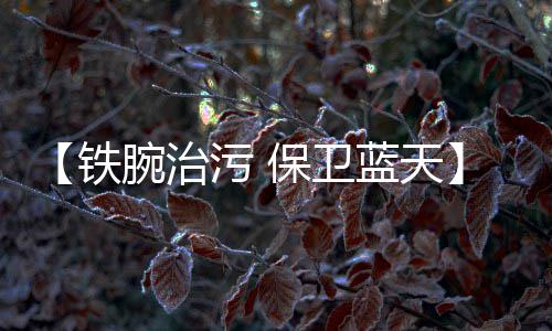 曝马刺女助教或变身主帅 匿名高管透露聘用意愿 汽车该系统不仅抓拍货车
