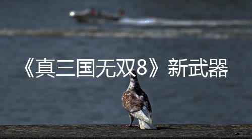 《真三国无双8》新武器昊转锤演示视频 新武冲击波威力十足