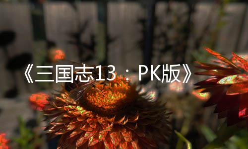 《三国志13：PK版》委托玩法技巧 托玩酒馆谈话偶有考问福利
