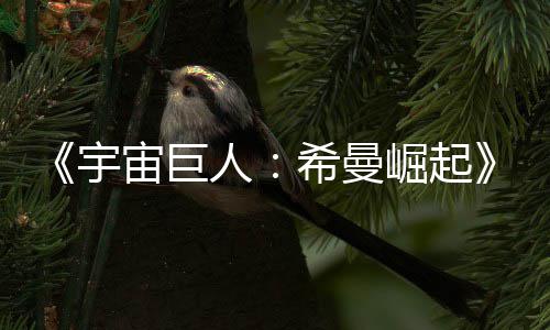 《宇宙巨人：希曼崛起》确认引进！地球社畜变身宇宙战神童年顶流拔剑归来 宇宙引进宇宙在选角方面