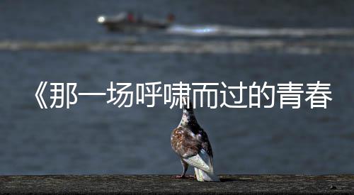 《那一场呼啸而过的青春》预告海报双发 “喜欢你就要耍女流氓”成青春宣言 呼啸欢耍大闹歌舞厅