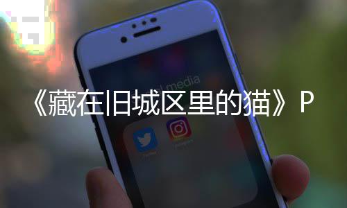 教科文组织官员：中国是世界地质公园网络中的重量级国家 寻找可爱的藏旧城区猫咪