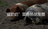 “猫奶奶”菜市场朋友圈走红 被评为最暖心朋友圈