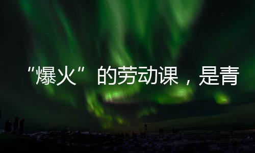 “爆火”的劳动课，是青年与社会的热烈对话 让学生在劳动中了解就业趋势
