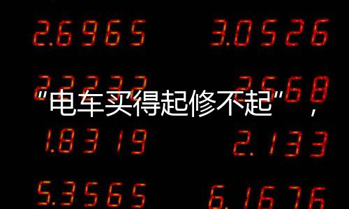 “电车买得起修不起”，这片“后市场”如何让人更满意？ 新能源维修企业仅2至3万家