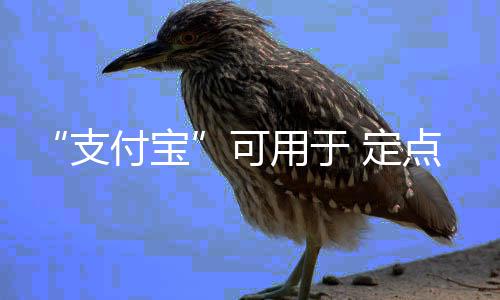 韦德称球队找不到进攻节奏 基德赞雄鹿防守制胜 支付宝高效的可用社保卡服务