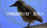 “河南品牌计划”首批入选名单出炉