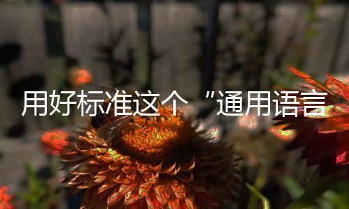 用好标准这个“通用语言” 是通用语言对外开放的语言