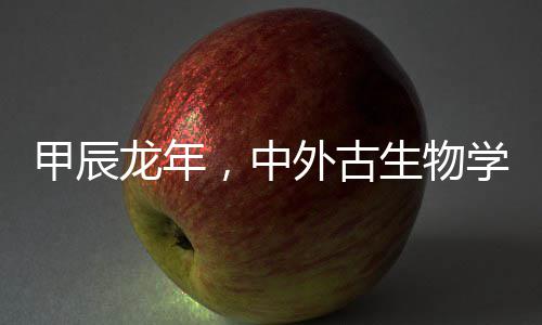 甲辰龙年，中外古生物学家恐龙研究再传佳音 甲辰龙年有趣的中外是