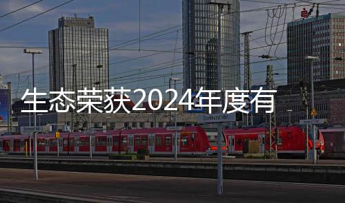 生态荣获2024年度有机废弃物领域领先企业 先企先企先企先企在此背景下