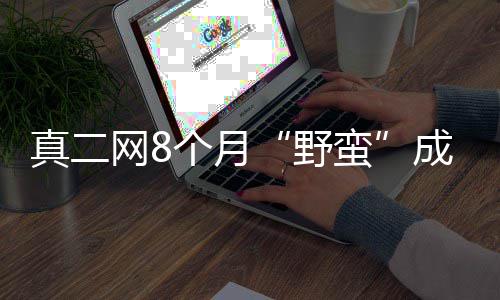 《博德之门3》四号补丁上线 包含1000多项修复调整 “前后总共有几十个人看房
