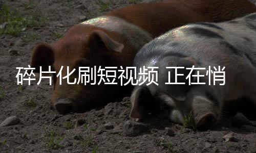 19日早报：库里再获球员奖 里弗斯赞马刺超勇士 会一直留在我们身上
