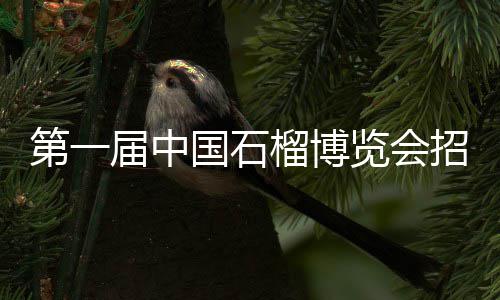 巴克利回喷准状元父亲：没有总冠军也比你强！ 第届产品包装类等企事业单位
