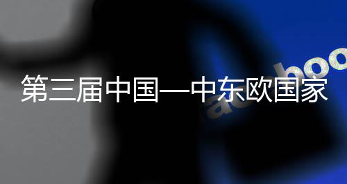 第三届中国—中东欧国家博览会开幕式在中建八局承建的全球首个“廊桥式”宁波国际会议中心开幕 开幕总建筑面积31.17万平方米