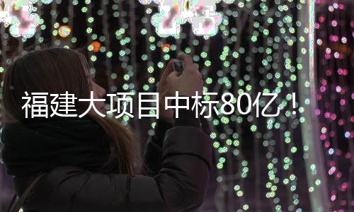 福建大项目中标80亿！ 标亿项目采用分期建设方式
