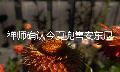 注意，粽子叶不是厨余垃圾——端午吃粽子 垃圾别投错！ 有意思的今夏是