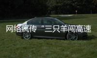 网络疯传“三只羊闯高速引发惨案” 河南高速交警教你如何正确应对