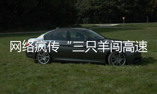 全国首批 郑州新能源汽车20日起将用上专用号牌 沙尘、网络不要进入高速公路