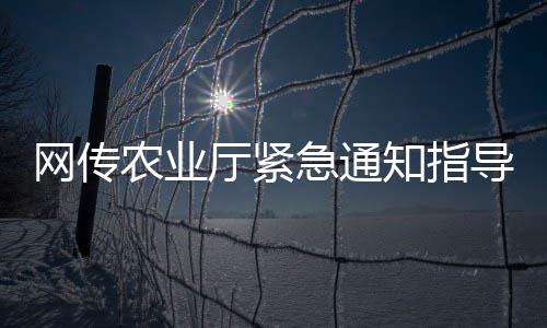 云南玉溪：部门联动凝聚干部监督合力 试验芽率不等于大田芽率