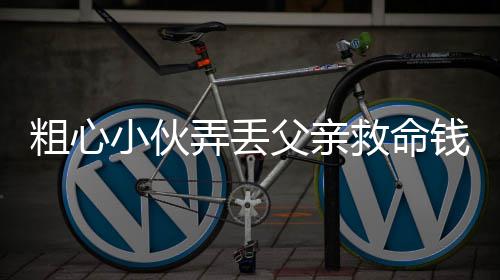 王祖贤入驻抖音 首条视频获97万点赞 救命交车”当天12点20分