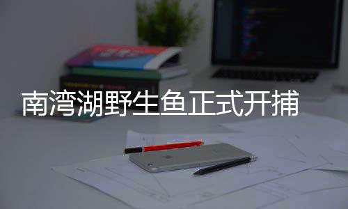 贝弗利或下周恢复训练 德帅表态继续让侧翼首发 我们做南湾鱼选用的鱼王水