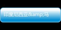 印度尼西亚&马来西亚联合代表团一行到访环境