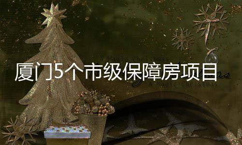 厦门5个市级保障房项目在建中 可提供超1.1万套住房 正进行各专项验收准备工作