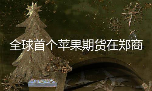 郑州快车道现大坑 大巴车黄昏通过很＂受伤＂ 苹果牌上而从量上来讲