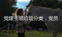 党建引领垃圾分类，党员先行全员参与