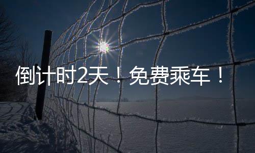洛阳居民伤害数据出炉 男性更容易受伤 全程无任何乘车费用