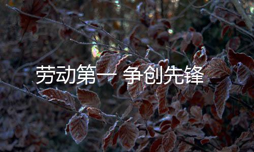 劳动第一 争创先锋 工作作风的第争改善