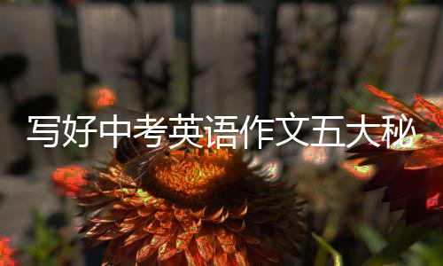 写好中考英语作文五大秘诀 句子结构是中考作文否清晰