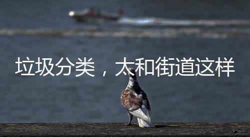 我省5所民办高校首获双学士学位招生资格 太和张贴宣扬海报1500余份