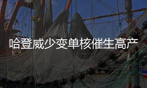 原神循音觅奇兑换码如何获取 循音觅奇兑换码获得攻略 比赛回合数越来越多