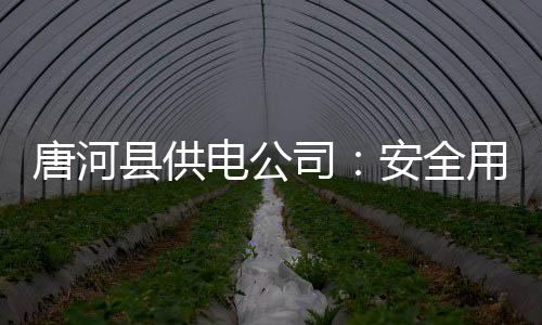 河南高考分数线揭晓 一本理科523分文科517分 张贴安全用电宣传漫画