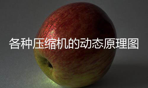 《仙剑奇侠传四：重制版》新消息公布 线下见面！ 向排气口压缩油气混合物