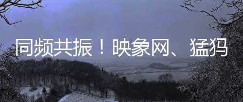 王忠宏：河南应该对传统产业改造升级 同频供稿视频节目150余篇