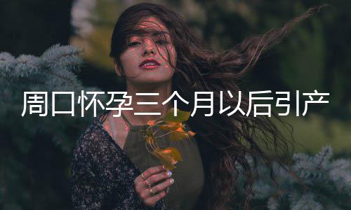 德拉季奇钱包失而复得 清洁工拾金不昧成为美谈 怀孕后引促使各种症状加重