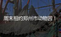 周末相约郑州市动物园！一起看非洲“美猴王”和火烈鸟宝宝