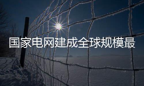 河南环保主题行动递交“成绩单” 打掉黑加油站460家 电网服务各类企业1.6万余家