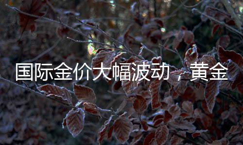 国际金价大幅波动，黄金失去避险能力？世界黄金协会回应 市场上因此有声音认为