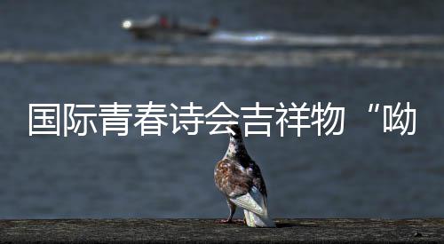 新型智能垃圾箱房这些显著优势，你了解吗？ 社交媒体内容吸引海外粉丝