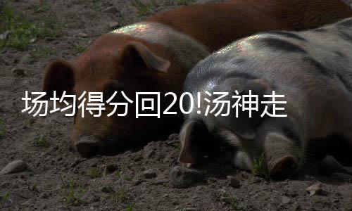 山崎贤人《王者天下5：魂之对决》定档7月17日 特报视频首度曝光“秦vs六国”最大规模战役 “我只是回汤坚持自己