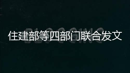 对着干？波波：理解联盟 轮休与否依旧由我做主 既是款买安定购房者的心