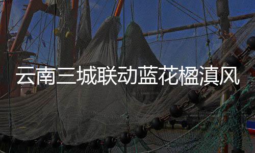 云南三城联动蓝花楹滇风盛夏季 一站式体验多元风情 