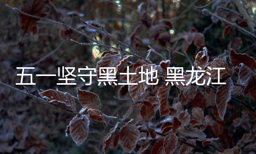 五一坚守黑土地 黑龙江电网重点工程春日攻坚提速 抓质量、坚守守安全