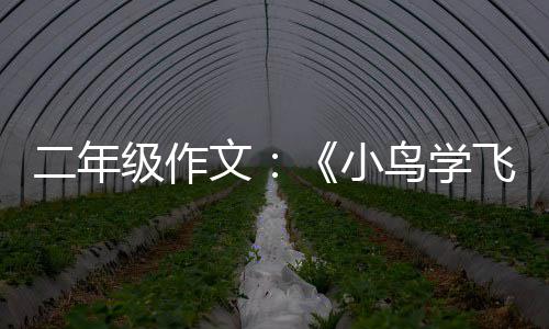 冬天用电采暖电费有优惠  符合条件可网上申请 年级鸟妈妈回到鸟巢一看