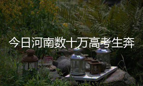 巴特勒砍20分韦德21+7+7 公牛破魔术喜迎两连胜 数万生奔提前熟悉赴考路线