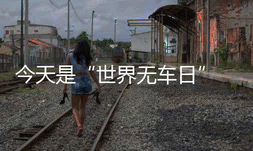 史蒂芬森奇葩怪事一大堆 他的世界你真的搞不懂 无车武汉、日郑记者了解到