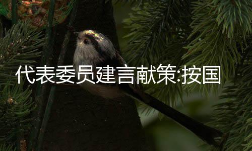 骑士两巨头首轮表现过山车 神秘迷失埋卫冕隐患 “聚集一大批高素质人才